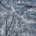 Alfombra moderna azul Sky Dome