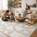 Pet and kid friendly rugs