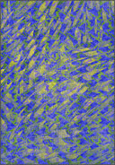 Alfombra moderna con estampado animal azul Sparrow